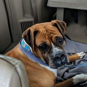 Meet your Posher, Tom